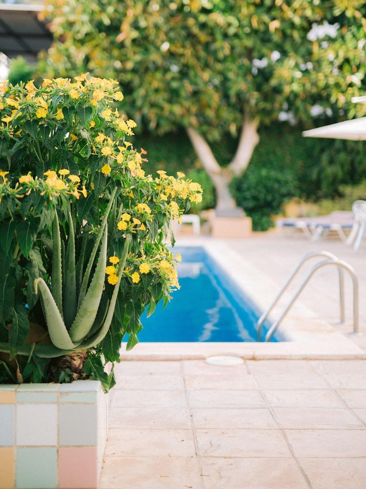 Hostal Valencia Σαν Αντόνιο Εξωτερικό φωτογραφία